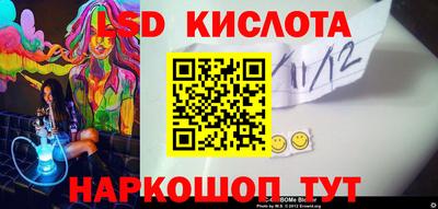 прущие грибы Будённовск