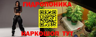 прущие грибы Будённовск